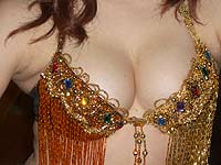 ����������� ������������ ������ Honda - �������� ����� ����