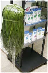 ����������� �������� Procter & Gamble